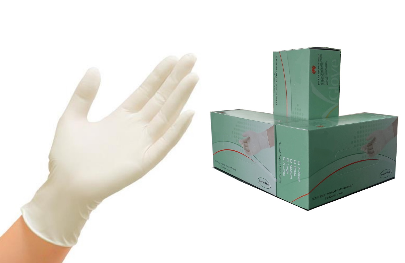 VGlove Non-sterile Powder Free Latex Glove_1